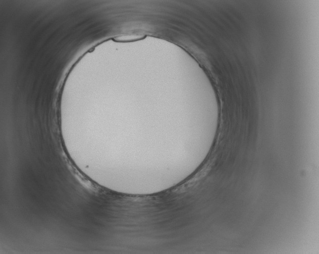 X0000060270816200511241452