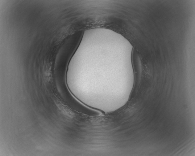 X0000060270818200511241452