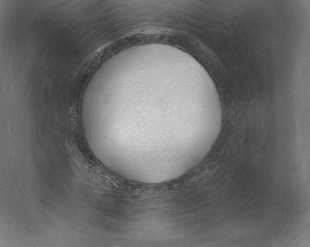 X0000060270821200511241452