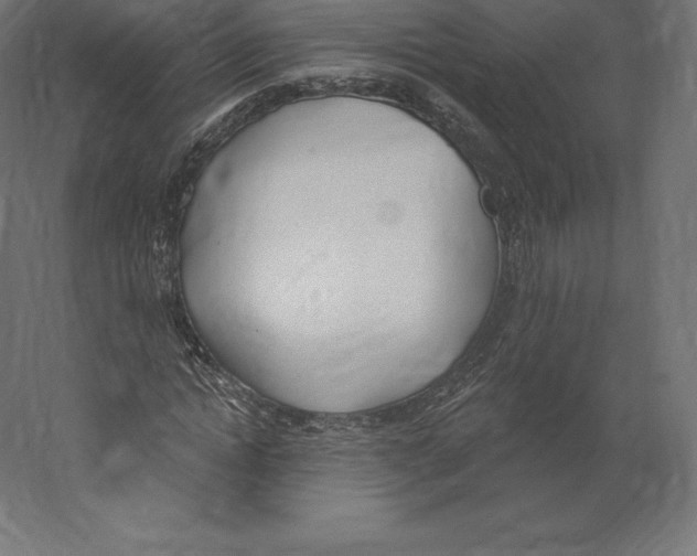 X0000060270822200511241452