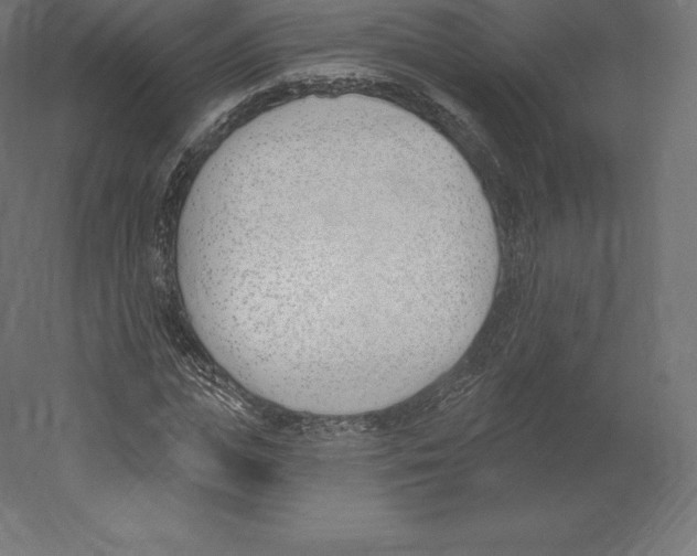 X0000060270823200511241452