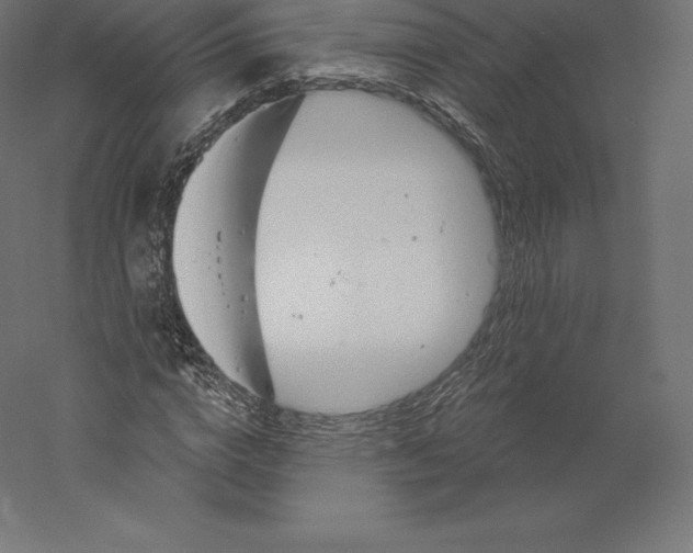 X0000060270824200511241452