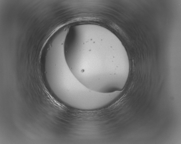 X0000060270828200511241452