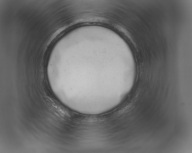 X0000060270829200511241452