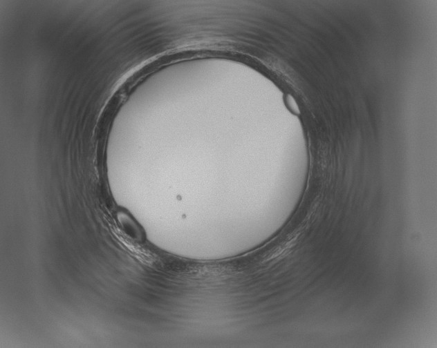 X0000060270830200511241452