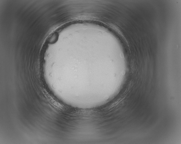 X0000060270831200511241452