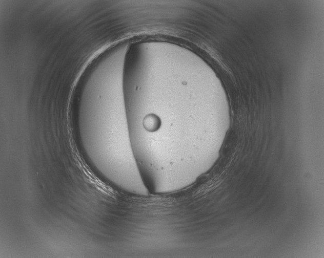 X0000060270832200511241452