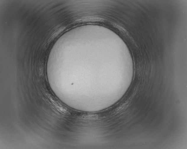 X0000060270833200511241452