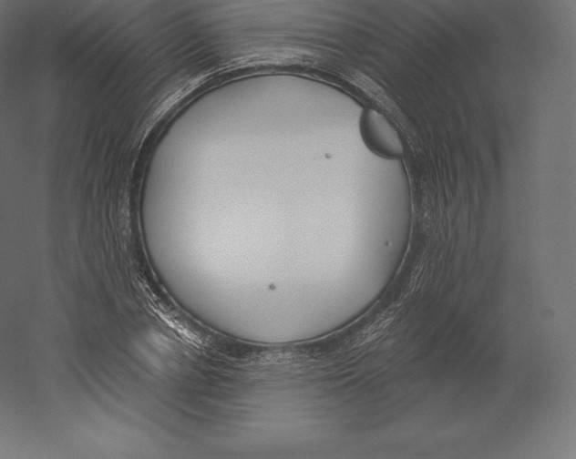 X0000060270834200511241452