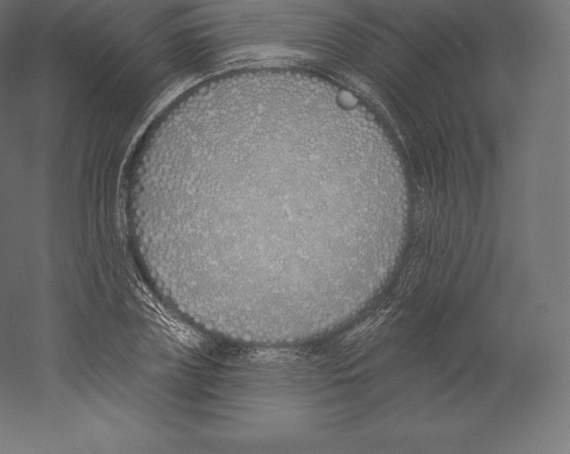 X0000060270835200511241452