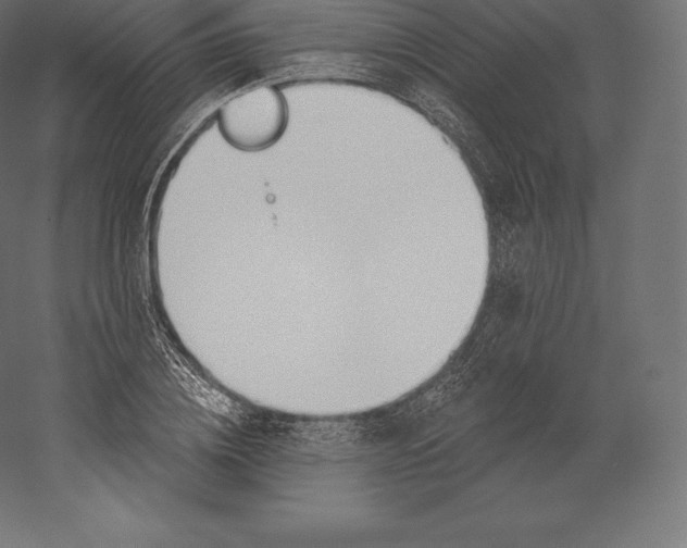 X0000060270836200511241452