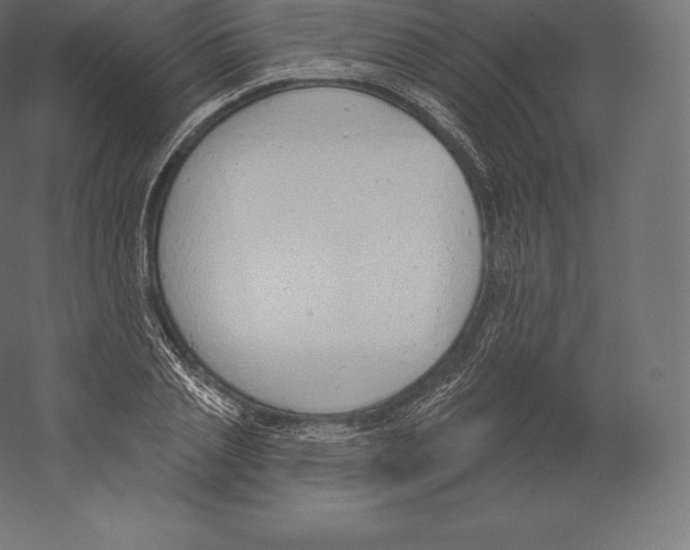 X0000060270837200511241452