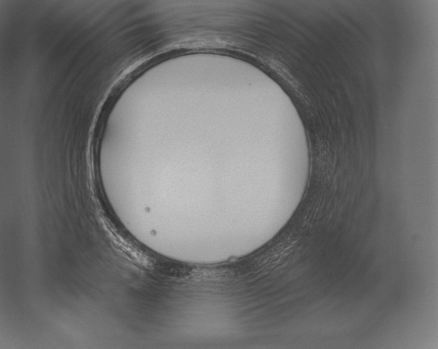 X0000060270840200511241452