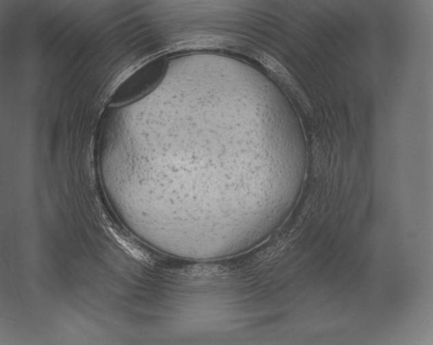 X0000060270842200511241452