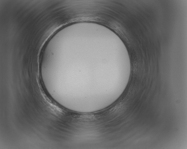 X0000060270844200511241452