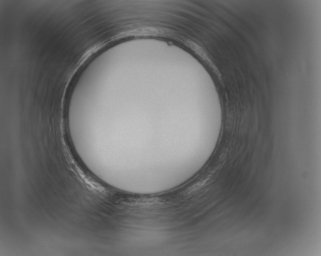 X0000060270845200511241452