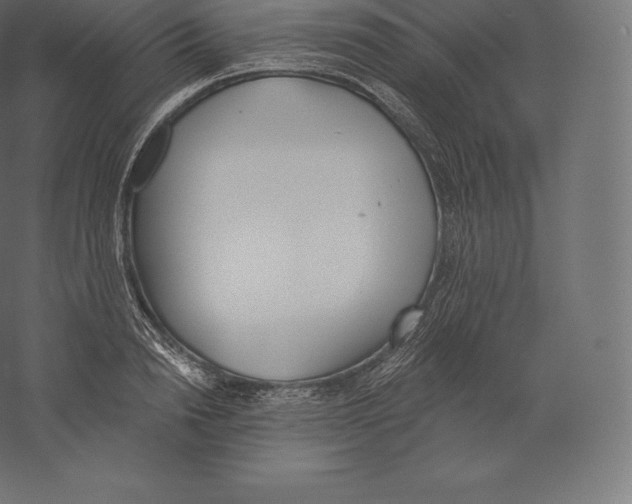 X0000060270846200511241452