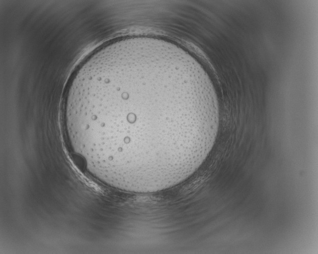 X0000060270847200511241452