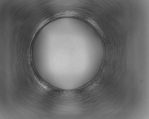 X0000060270850200511241452