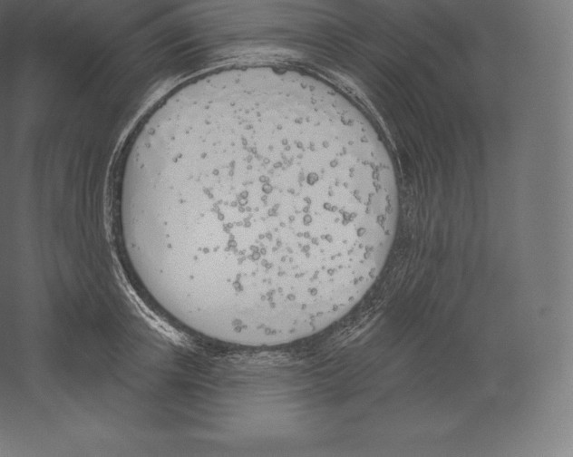 X0000060270851200511241452