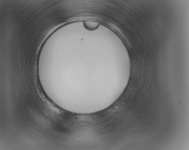 X0000060270852200511241452