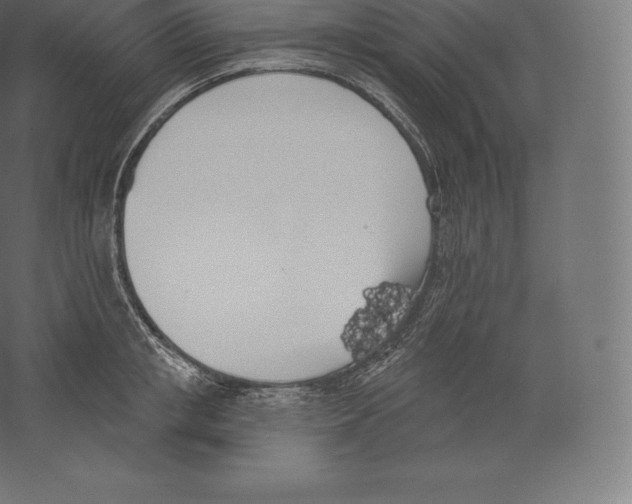 X0000060270853200511241452