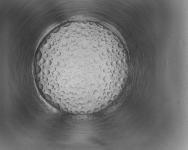 X0000060270855200511241452