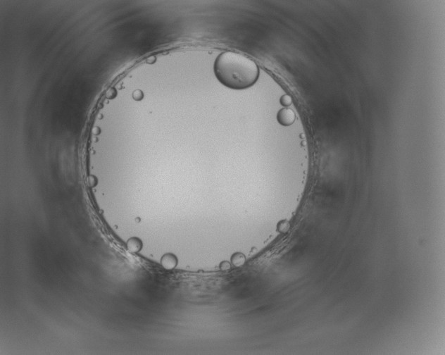 X0000060270856200511241452