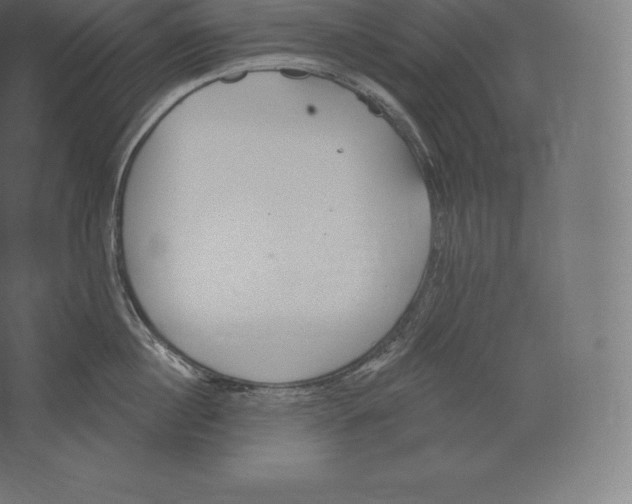 X0000060270860200511241452