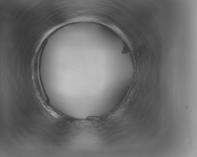 X0000060270862200511241452