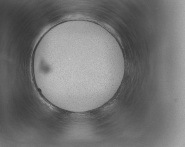 X0000060270863200511241452