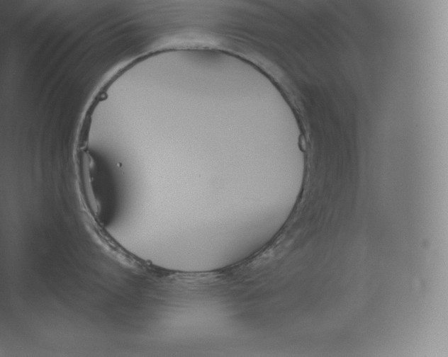 X0000060270864200511241452