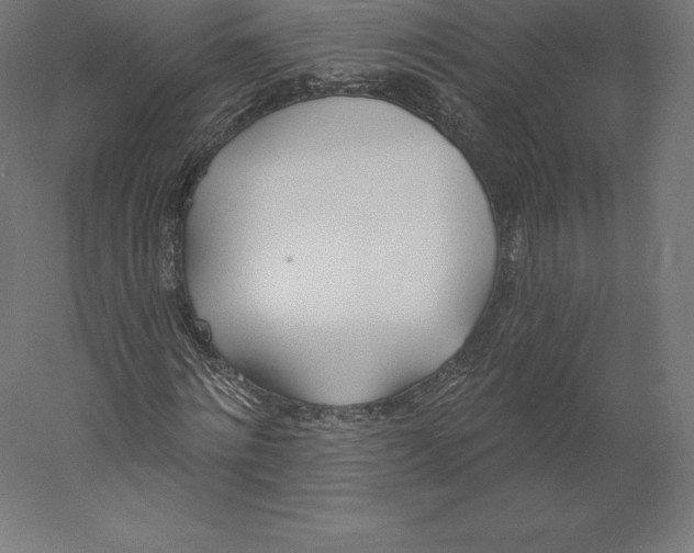 X0000060270868200511241452