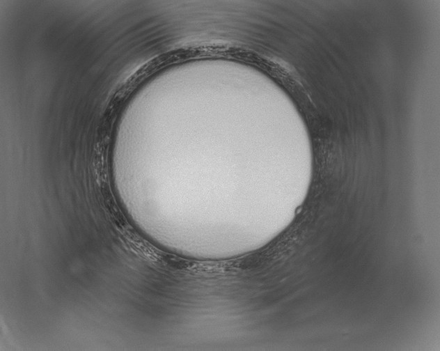 X0000060270871200511241451