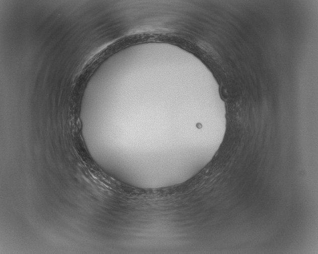 X0000060270872200511241451