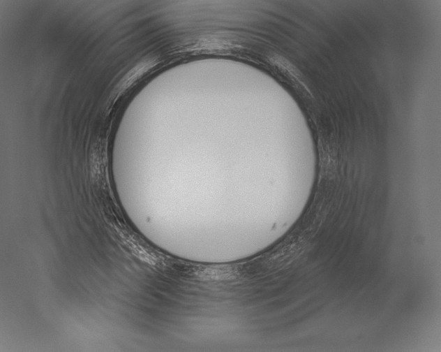 X0000060270874200511241451