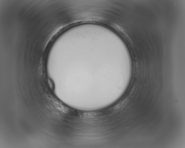 X0000060270875200511241451