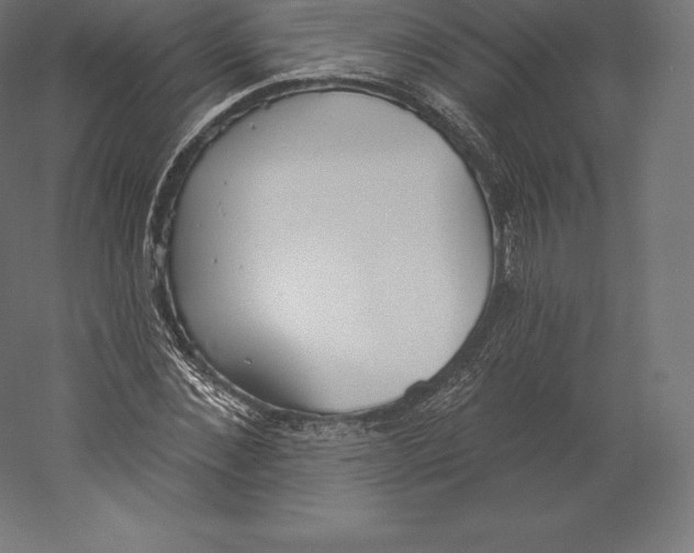 X0000060270876200511241451