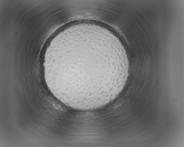 X0000060270879200511241451