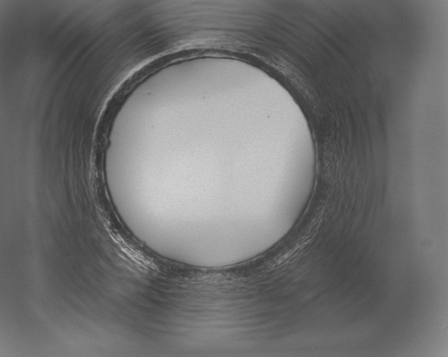 X0000060270880200511241451