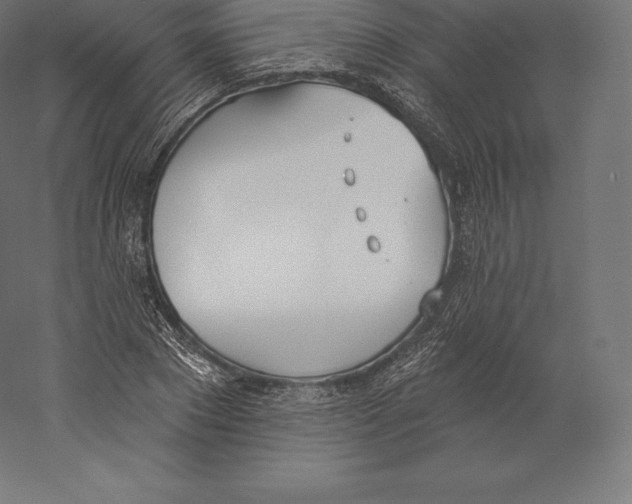 X0000060270881200511241451