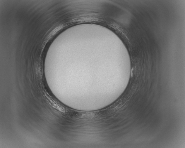 X0000060270882200511241451