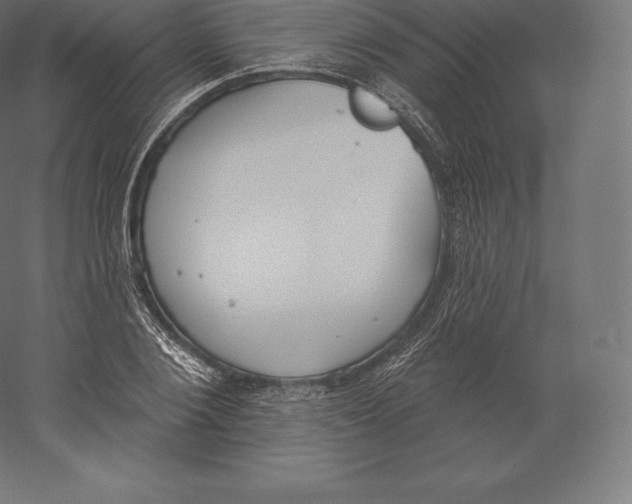 X0000060270884200511241451