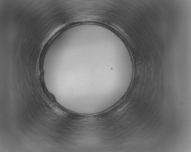 X0000060270885200511241451