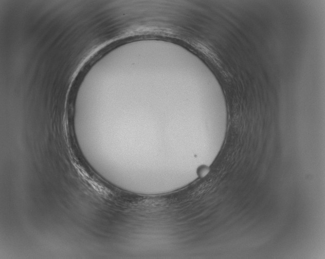 X0000060270888200511241451