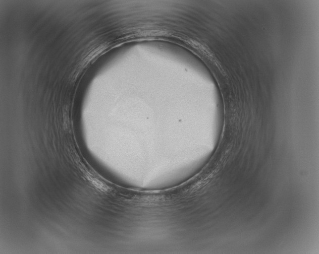 X0000060270889200511241451