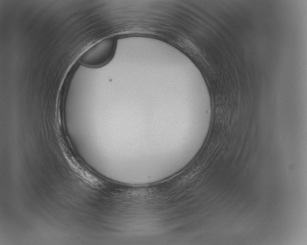 X0000060270892200511241451