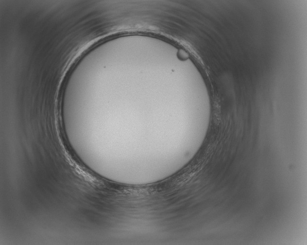 X0000060270895200511241451