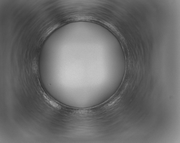 X0000060270897200511241451