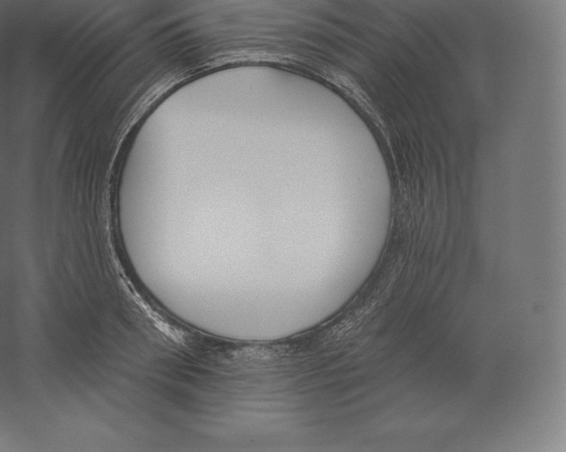 X0000060270898200511241451